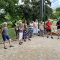 Img 8984